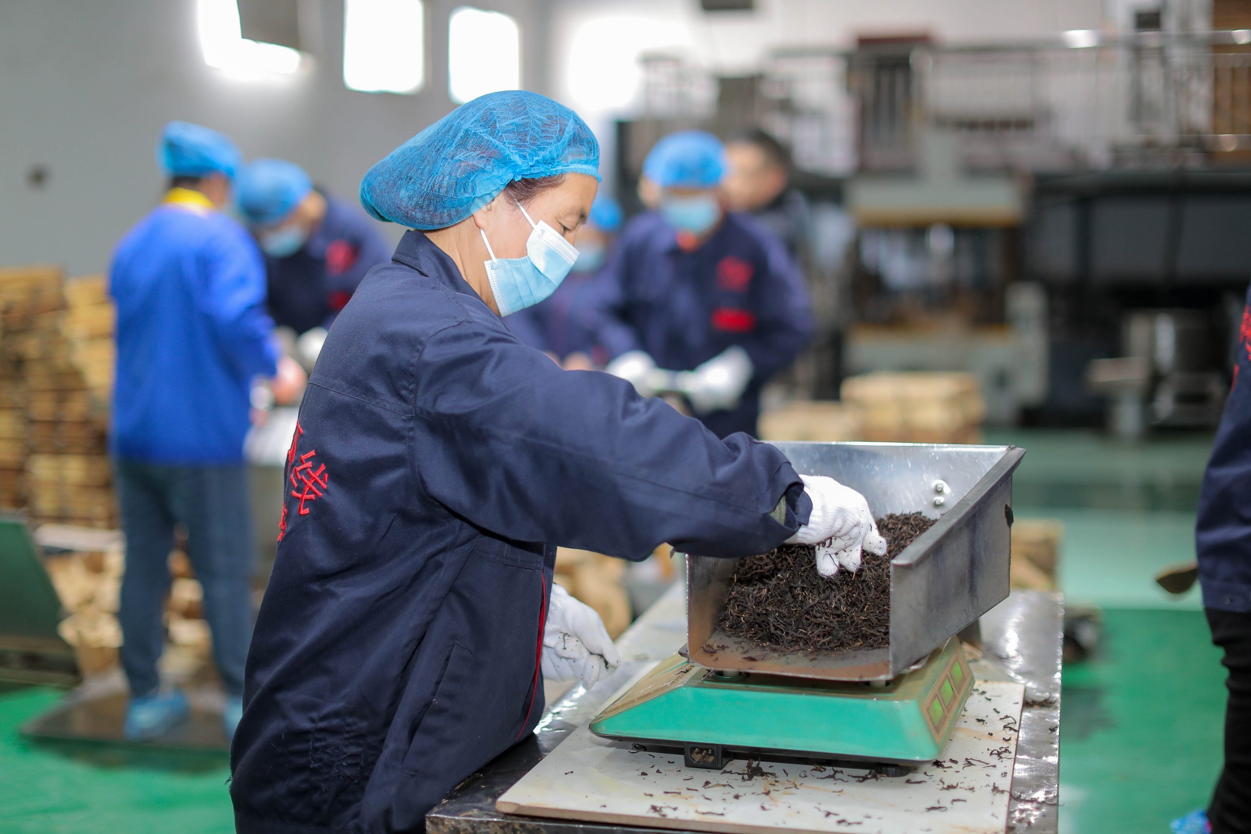 Intangible Heritage Hand-Pressing Workshop - Jingyang Fu Tea